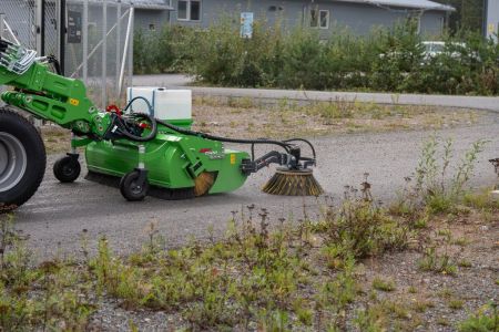 Collecting-broom (3).jpg